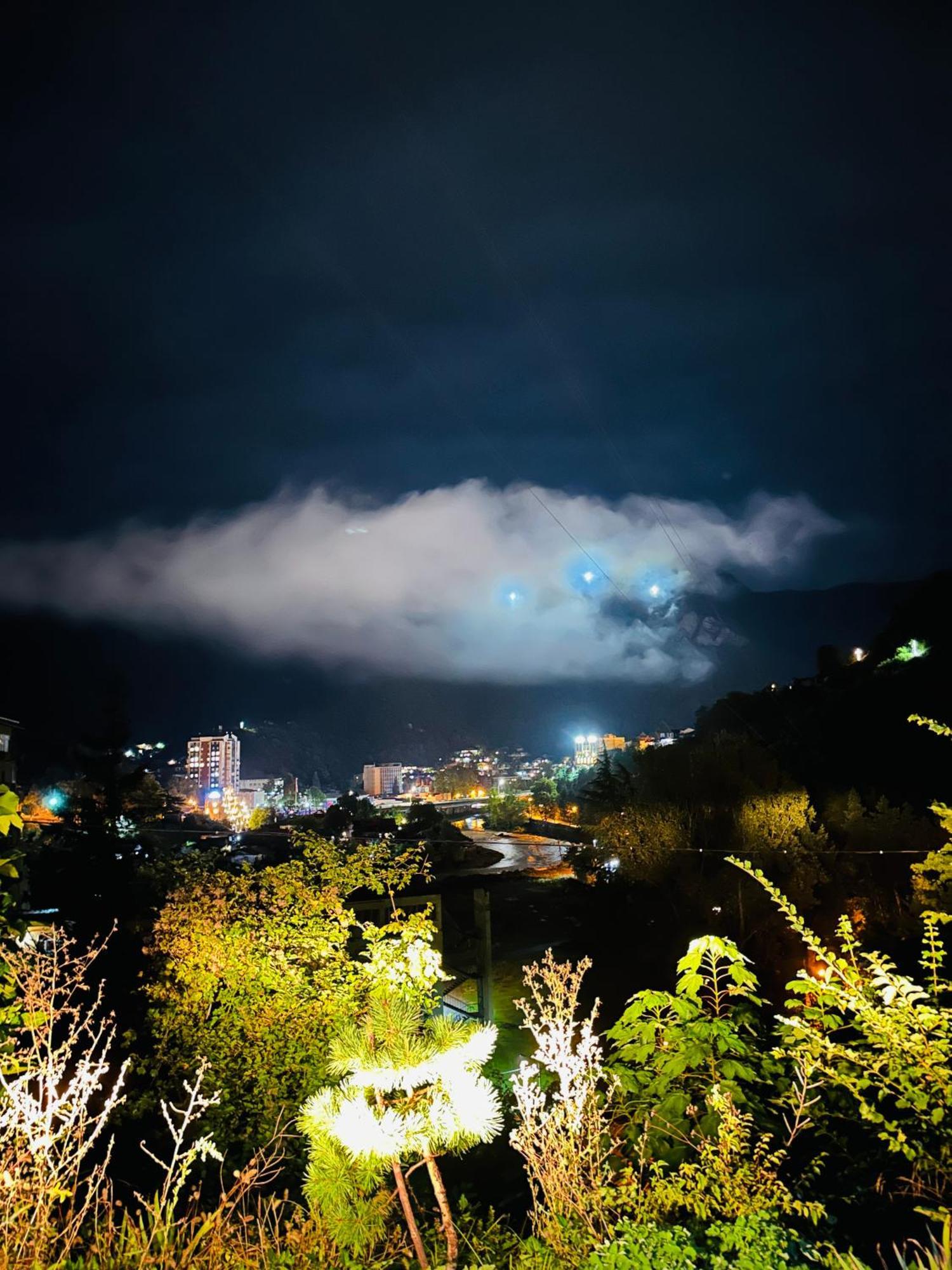 Hotel Woodland Borjomi Exterior foto